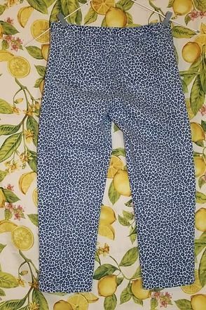 Blue patterned pants on a floral background.