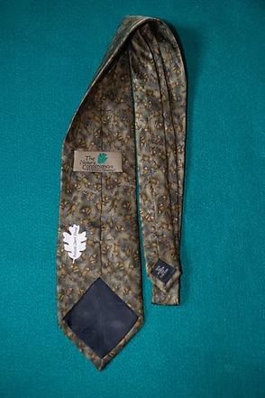 Brown patterned necktie on a teal background
