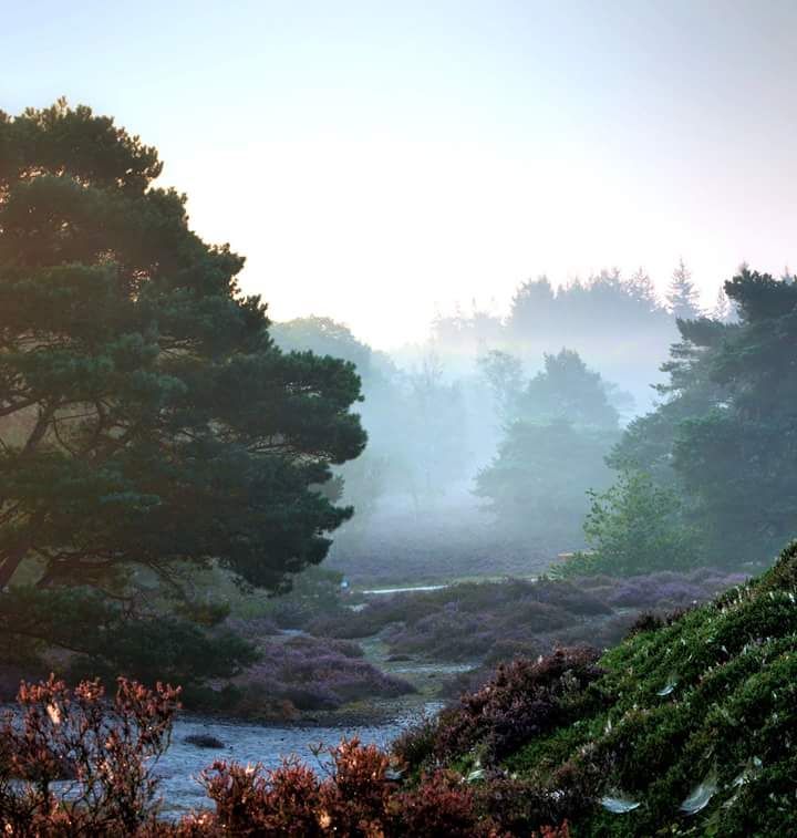 Natuurfoto Joan