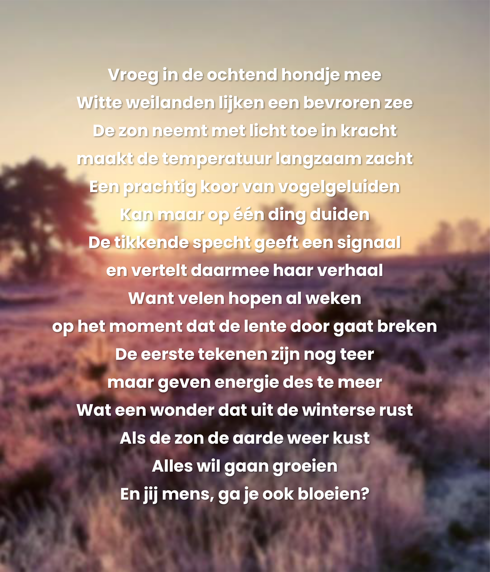 Gedicht