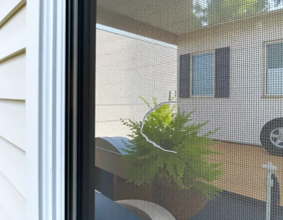 View through a window screen of a potted green plant on a patio beside a house exterior.