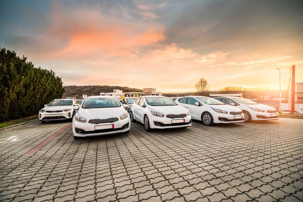 A Row of White Cars Are Parked in a Parking Lot at Sunset — Central Coast Storage Solutions in Erina, NSW