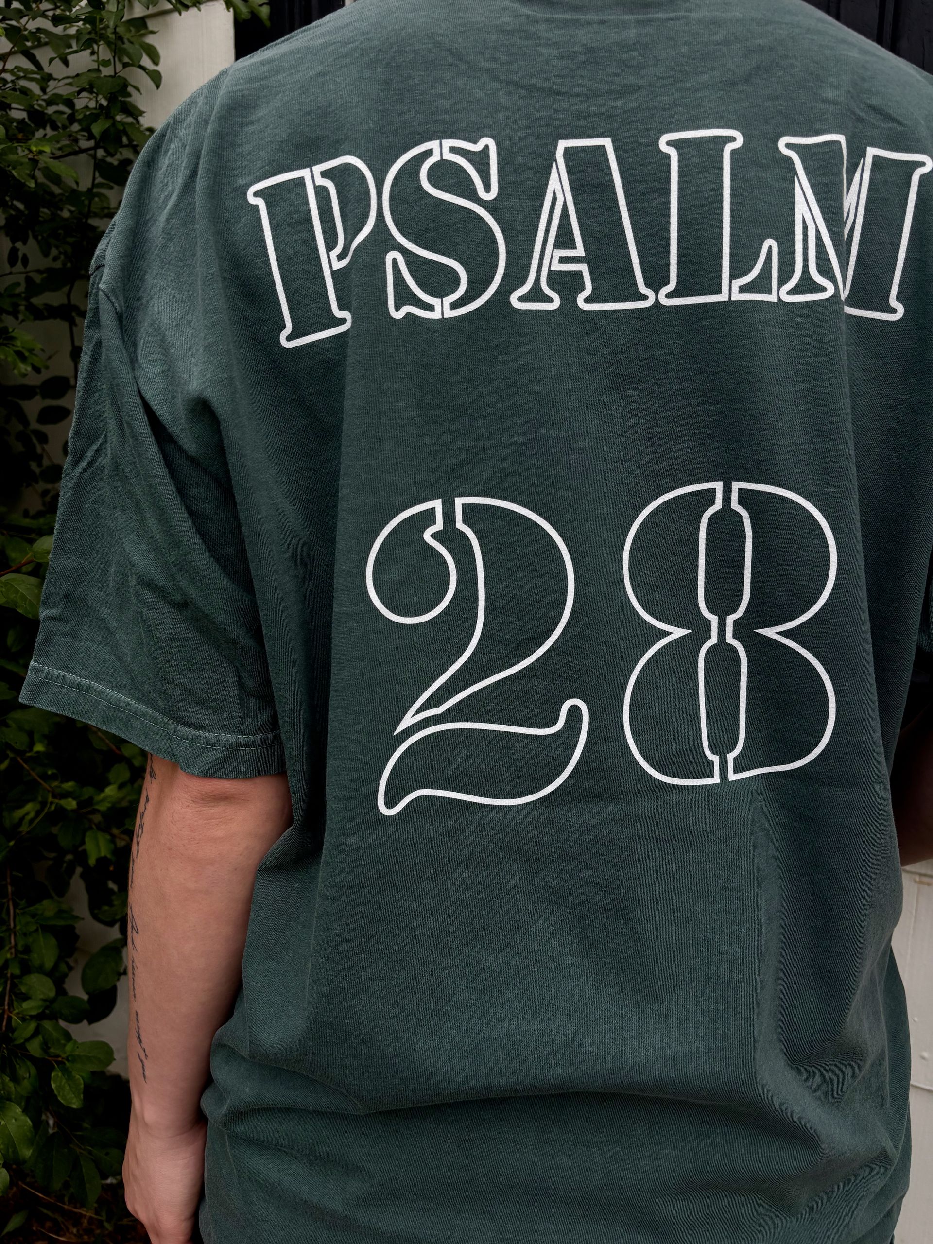 Psalm 28