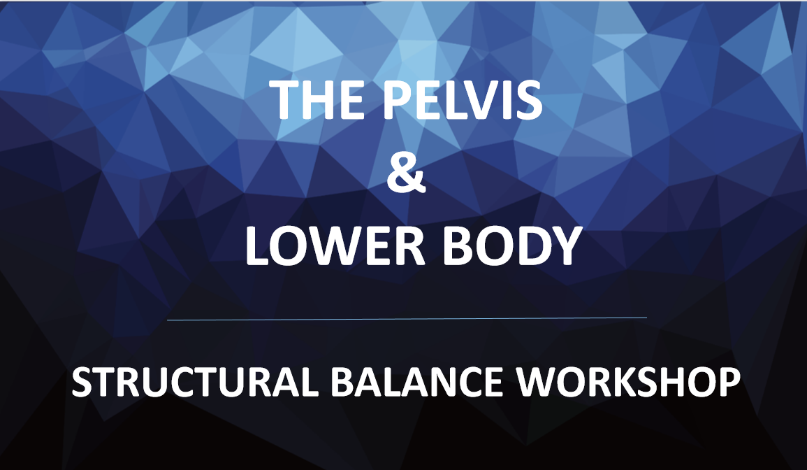 The Pelvis & Lower Body Workshop title banner for continuing education in Toronto.