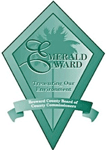 Emerald Award logo: Green diamond with a palm tree, words 