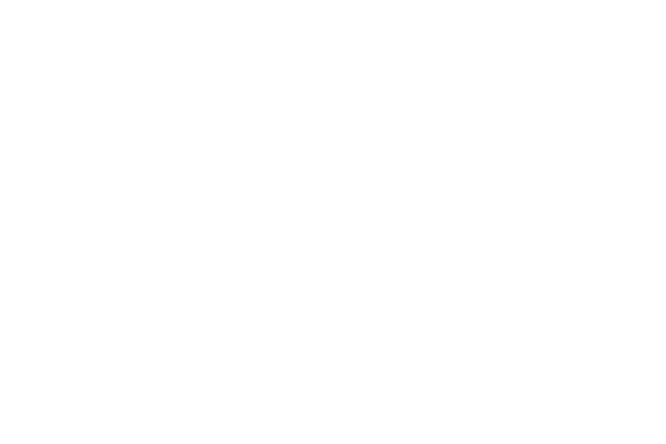 Blank white image with a thin black line along the bottom edge.
