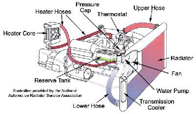 Coolant | Prior's Auto Care