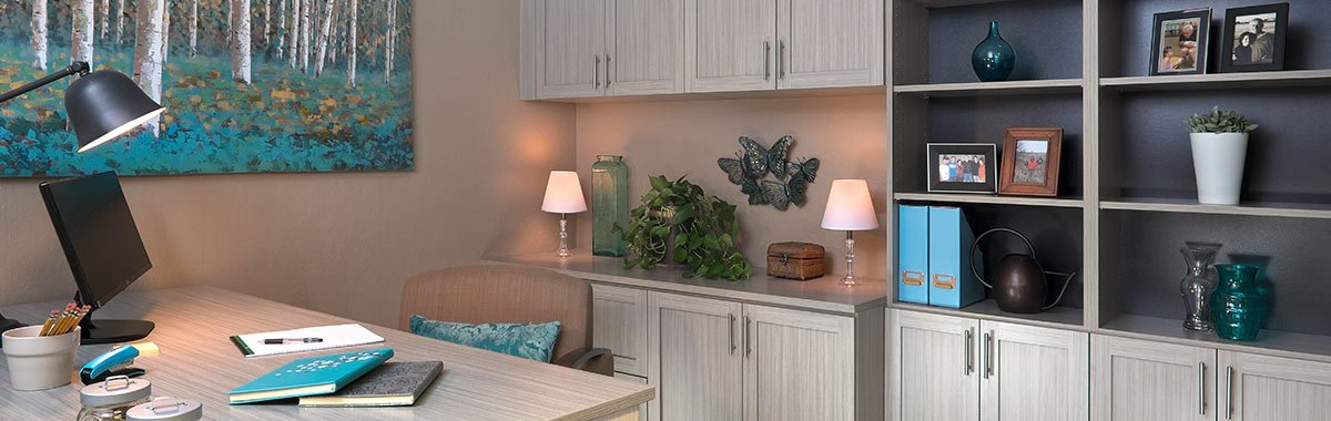 Custom Home Office System