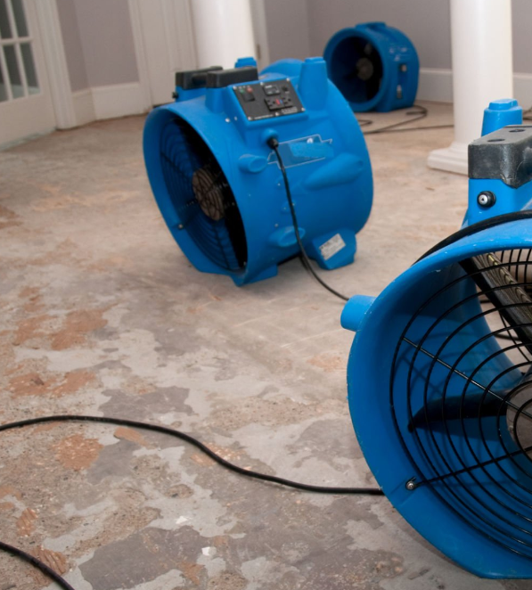 Two blue fans are sitting on the floor next to each other