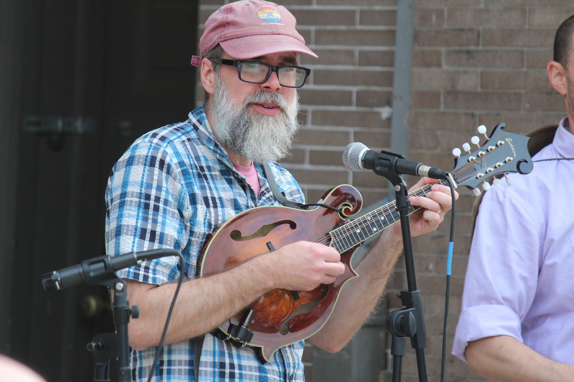 Bearded man in a pink cap playing a mandolin at a microphone outdoors