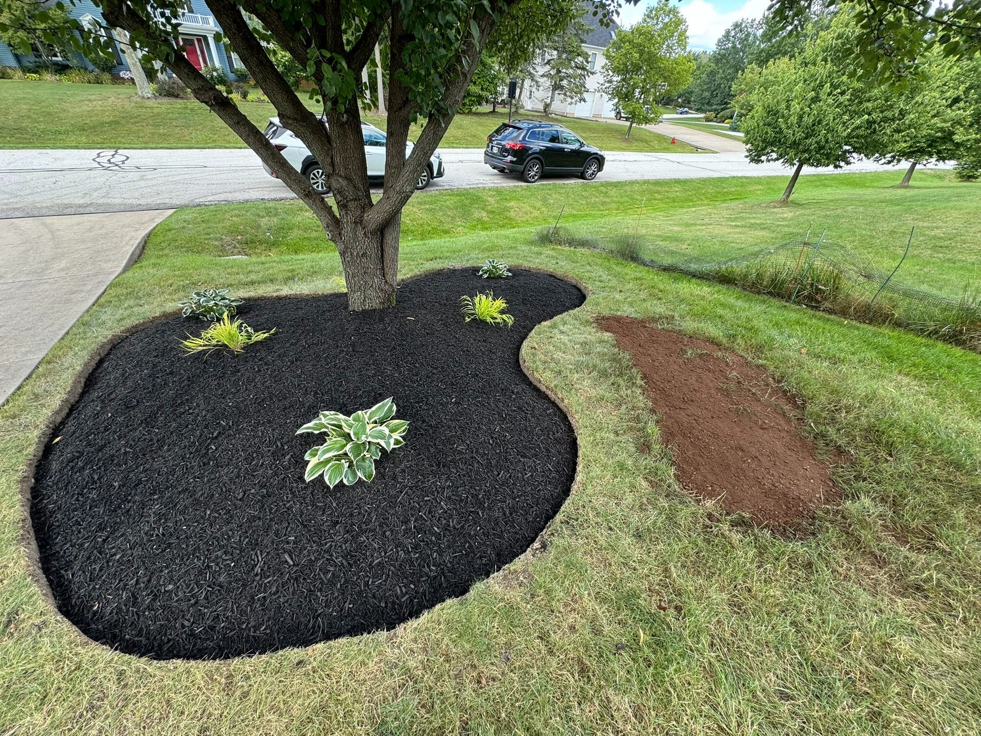 mulch installation