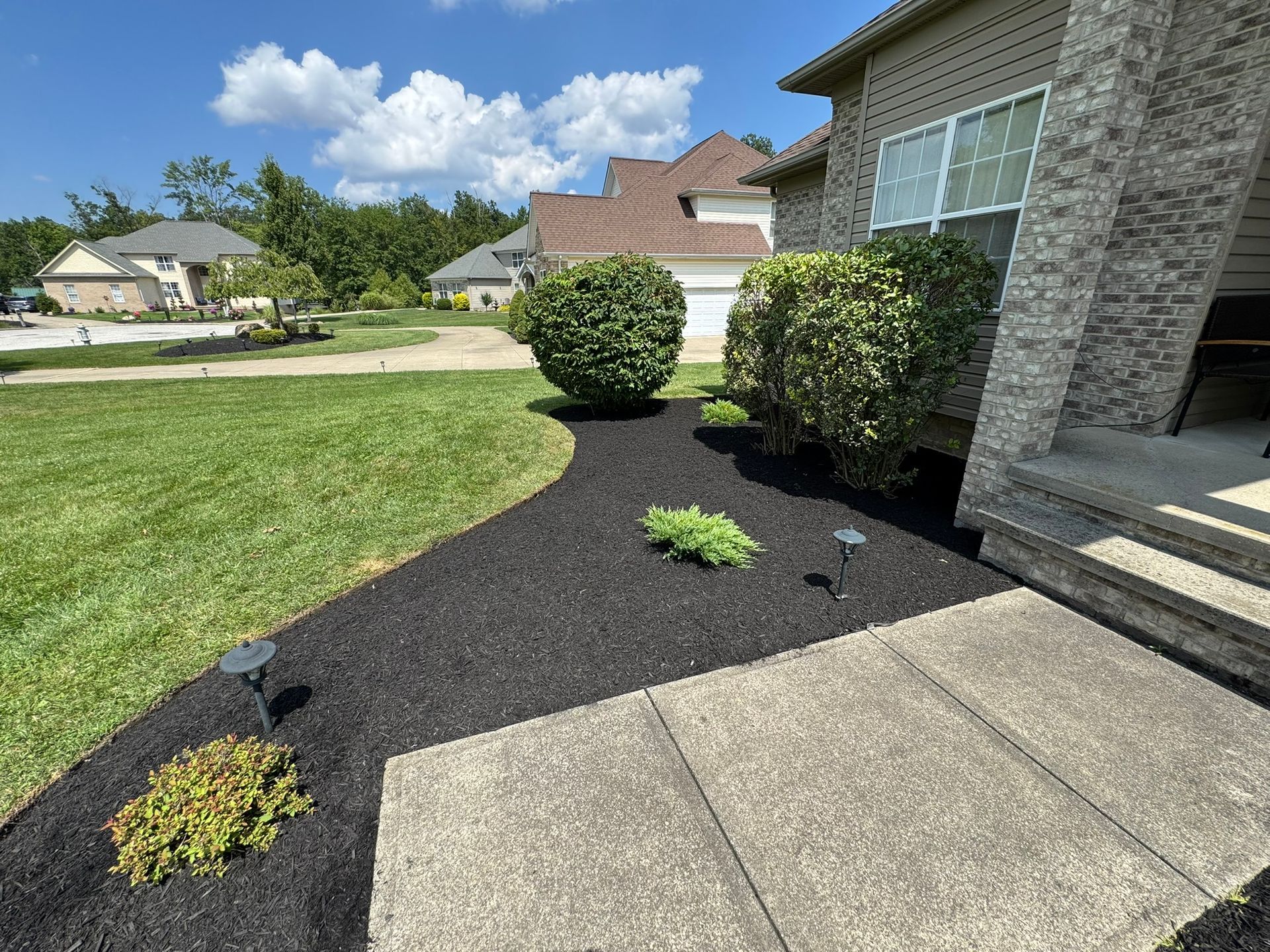 shrub maintenance