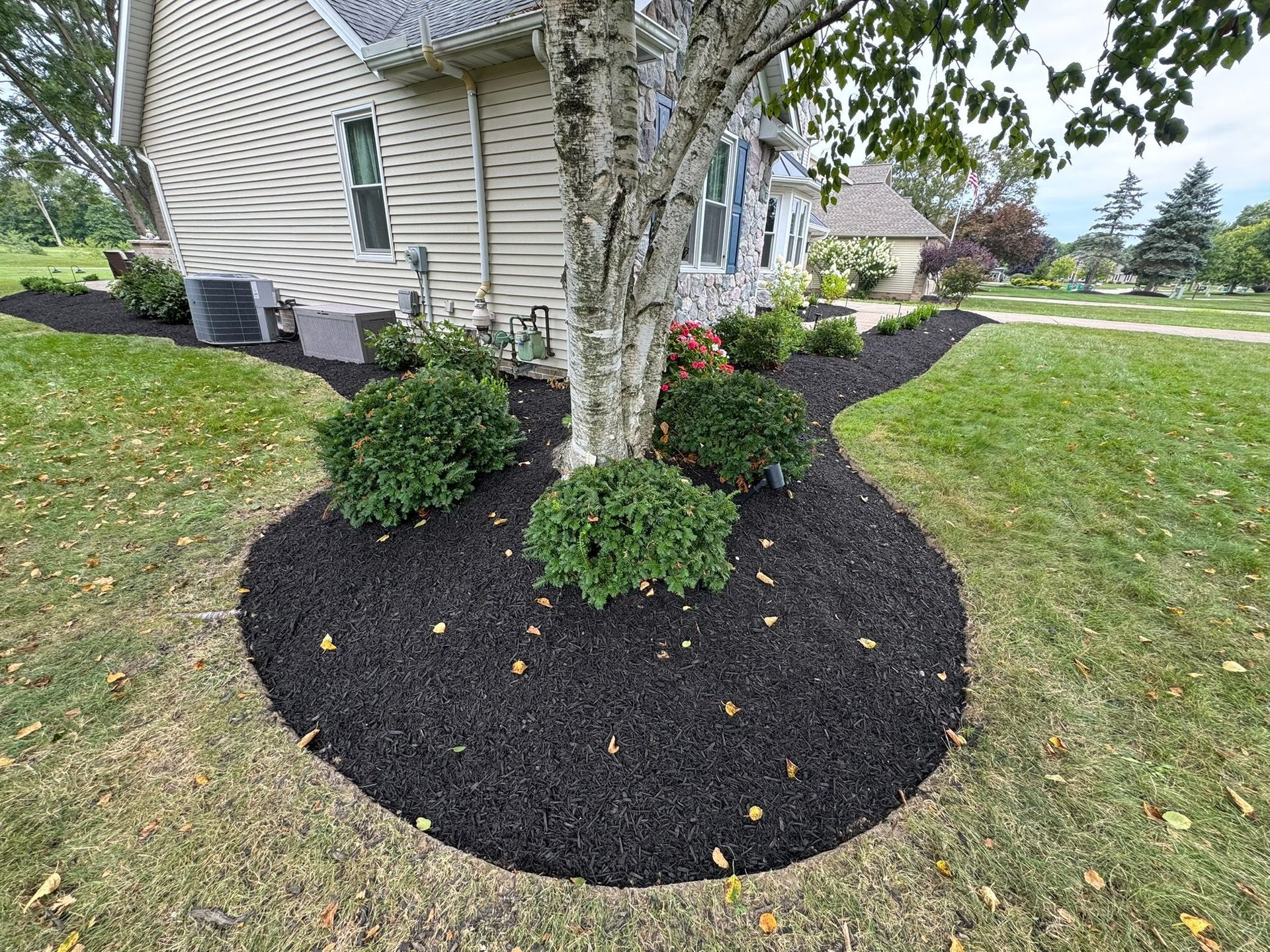 tree trimming