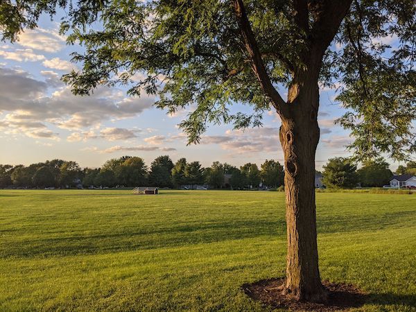 A beautiful field in Elkhart County