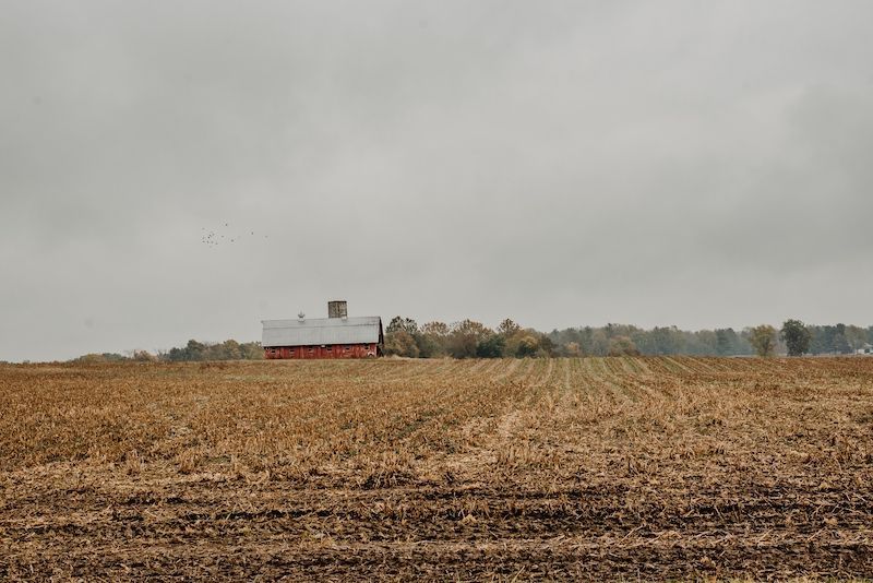 A beautiful field with a red bard in St. Joseph Count,  Indiana.