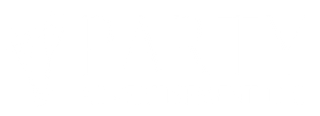 Party Advertisement LLC Logo