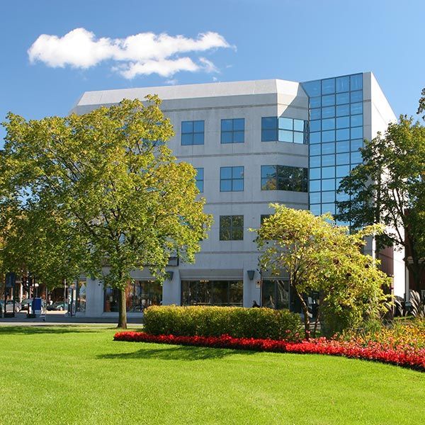 Colorful Park in an Office District