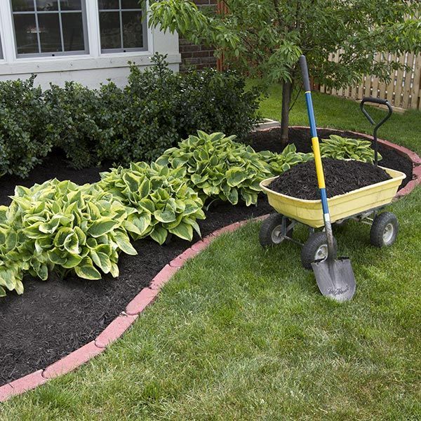 Mulching around the Bushes