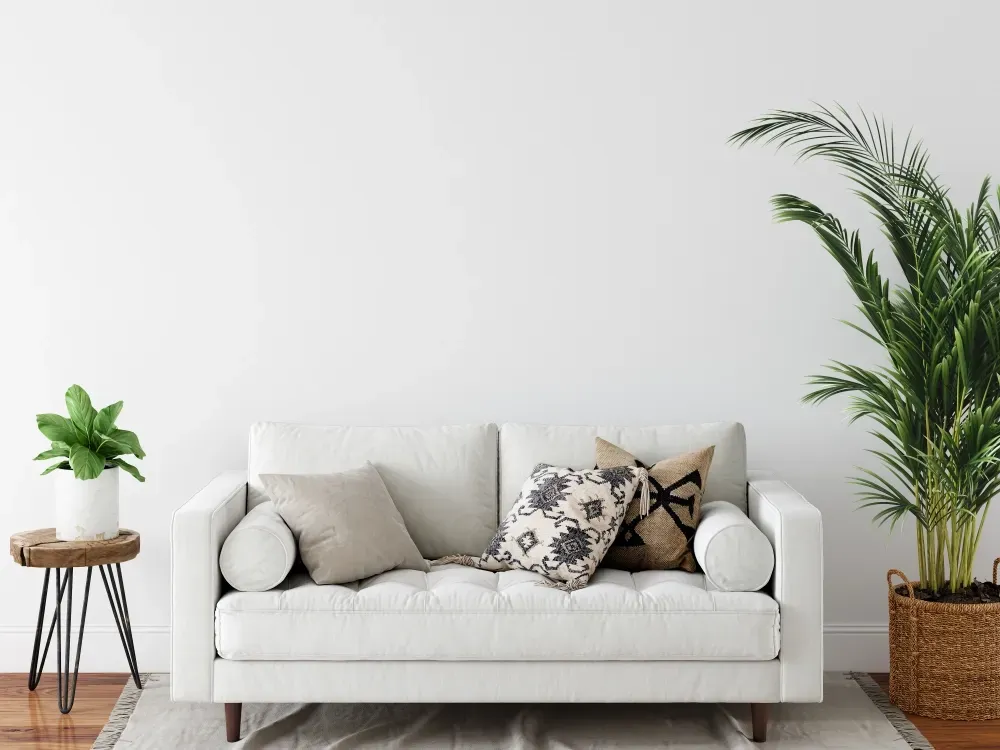 White Couch With Pillows, a Plant on a Side Table, and a Potted Palm Tree Against a White Wall — George Pappas Painting In Buderim, QLD