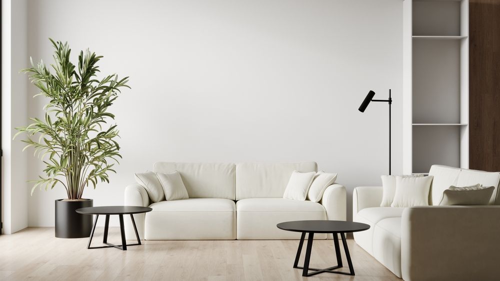 A modern minimalist living room with white sofas, two black round coffee tables, a potted plant, and a floor lamp. — George Pappas Painting In Buderim, QLD