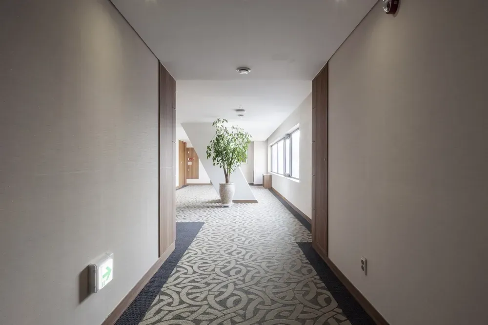 Empty hotel hallway with patterned carpet, windows, and a potted tree at the far end