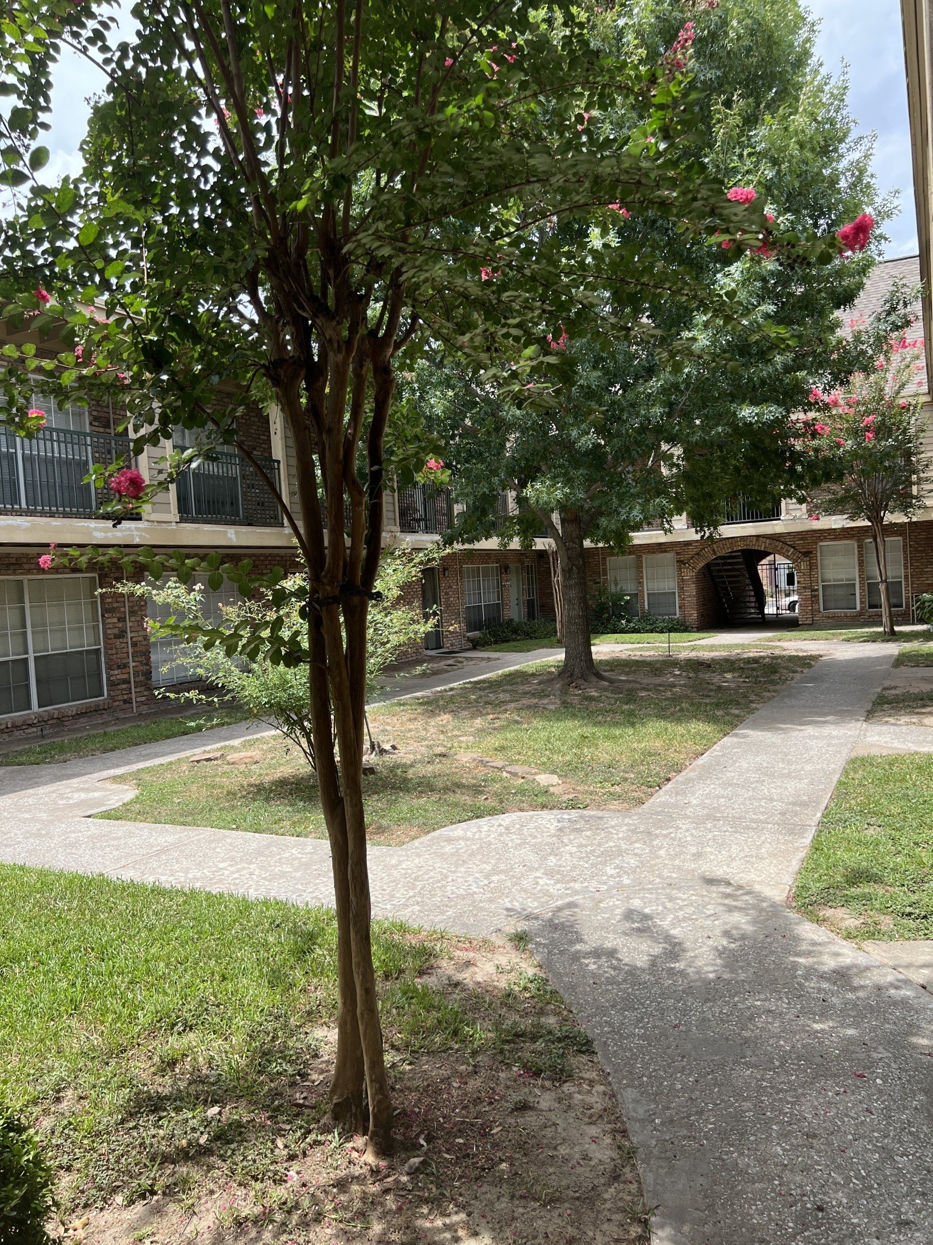 park at bellaire exterior