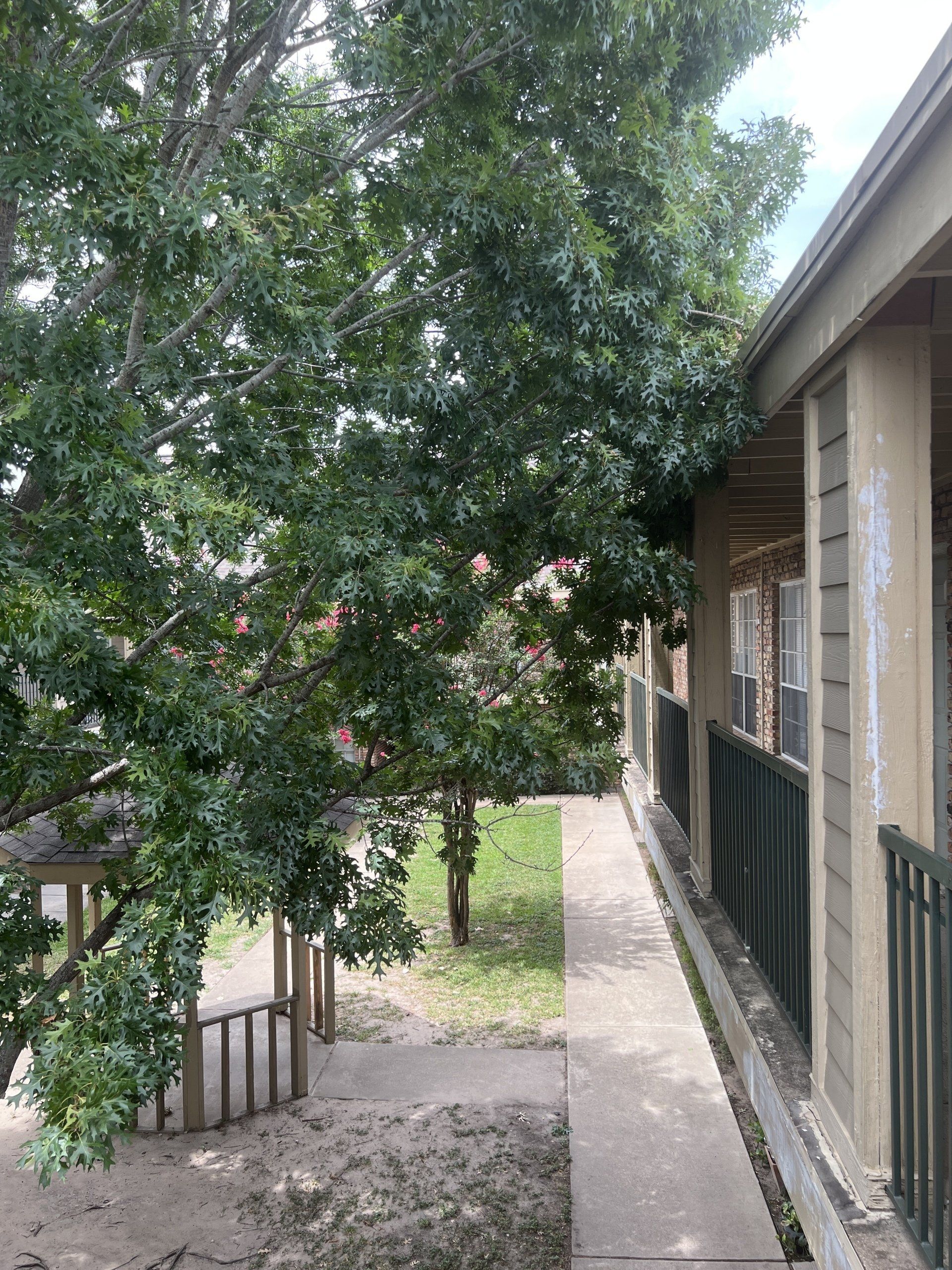 park at bellaire exterior