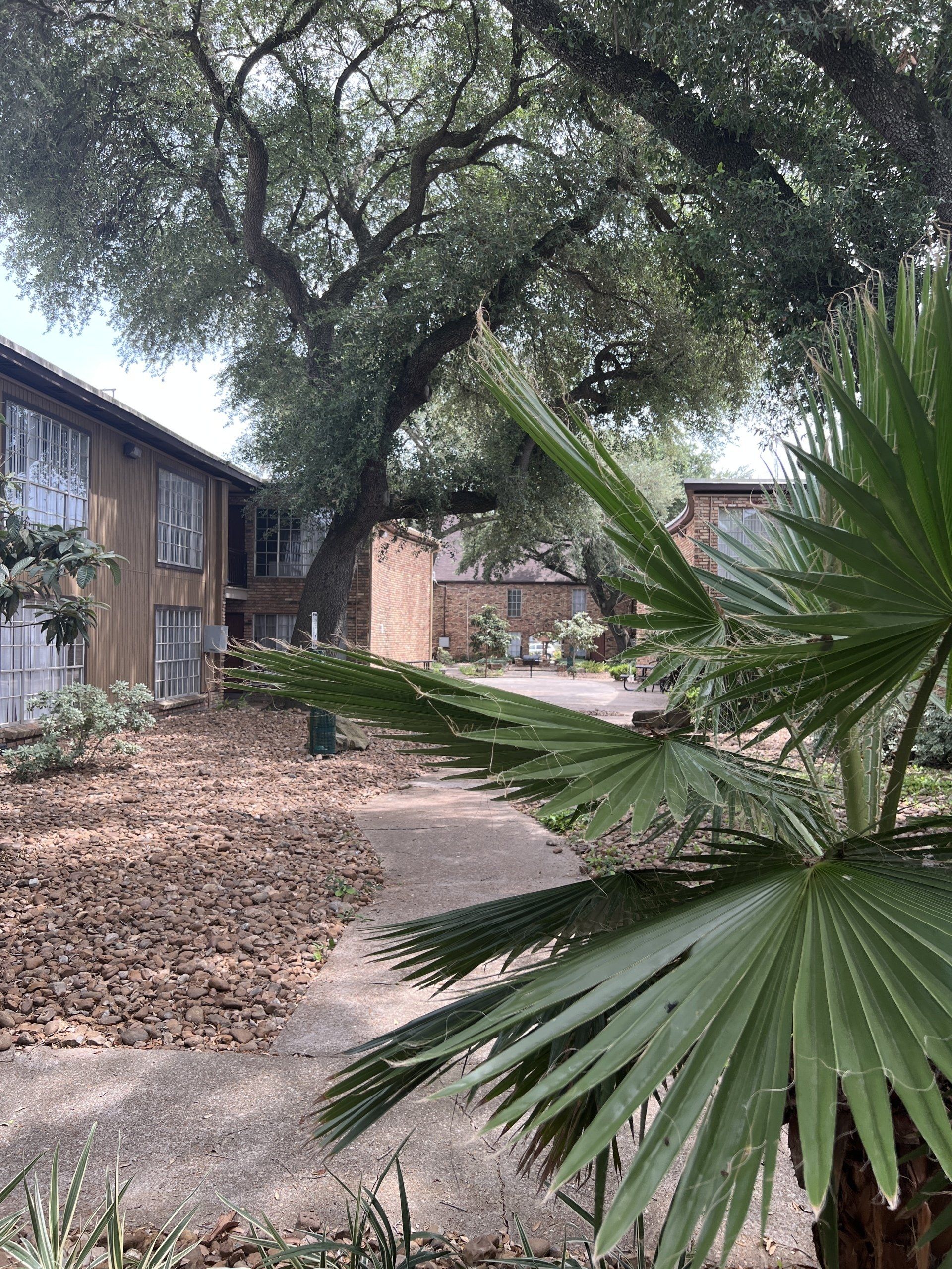 bellaire woods courtyard