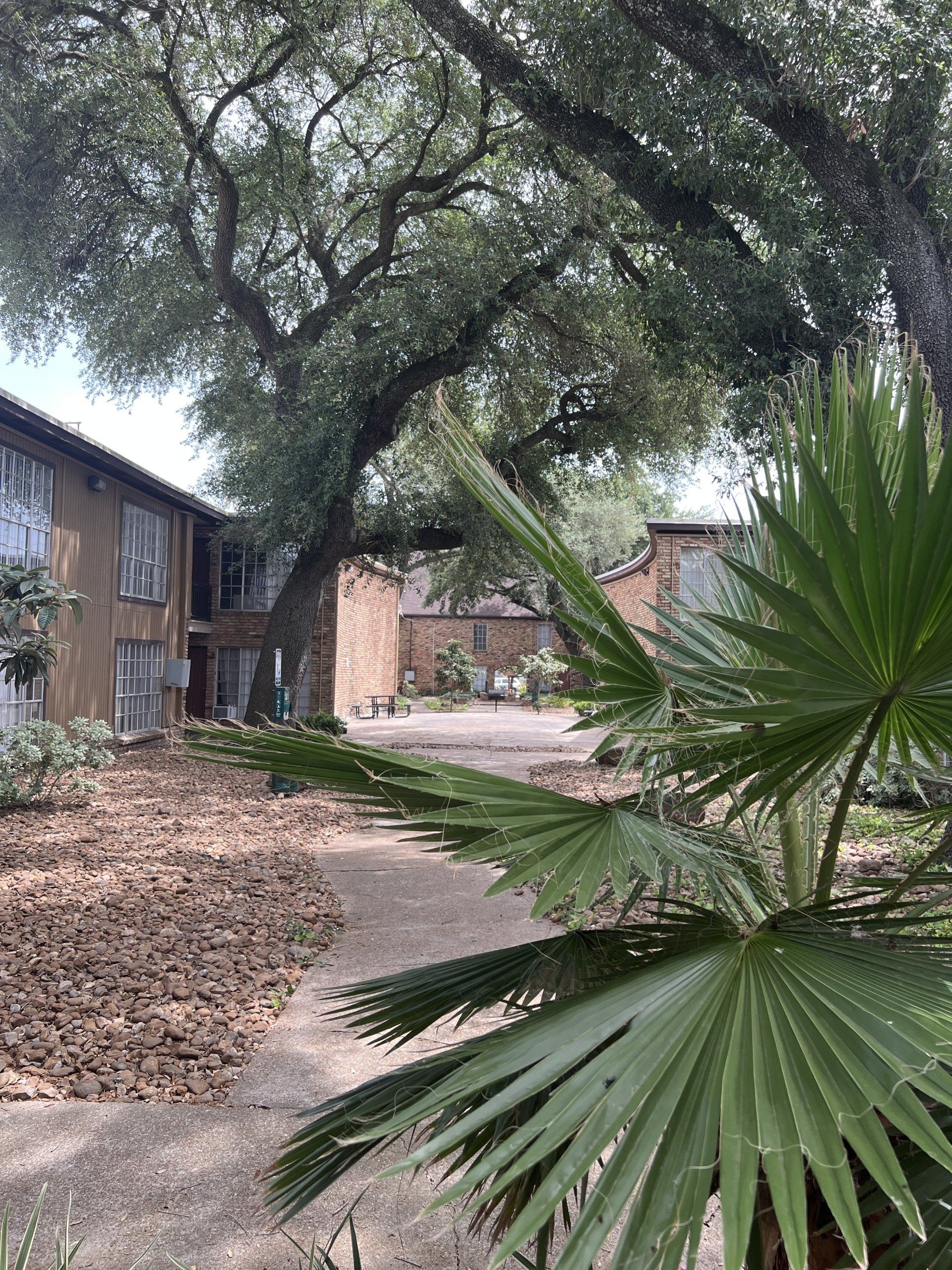 bellaire woods courtyard