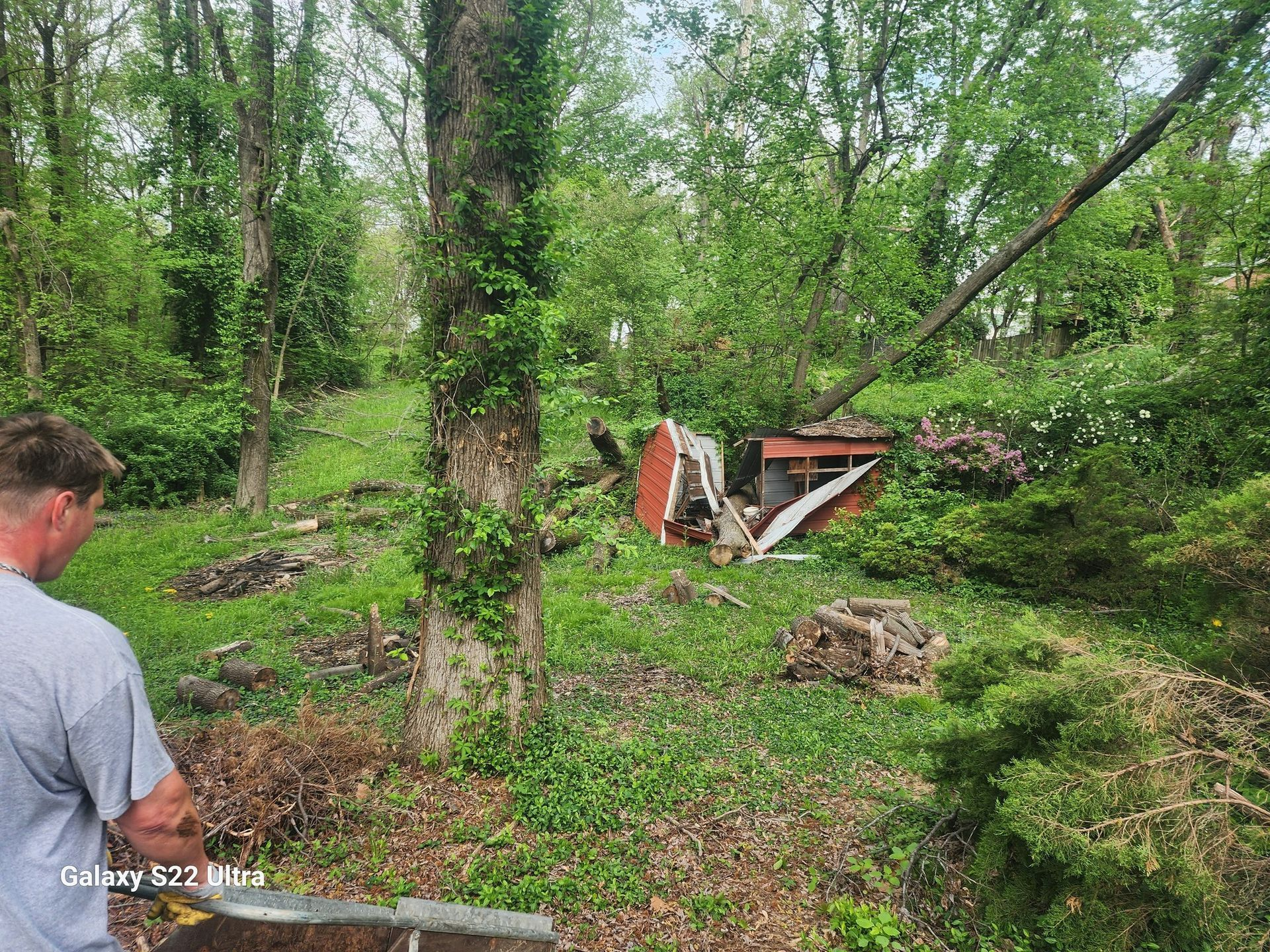 Bulldozer in a wooded area clearing debris, with a man standing at left.