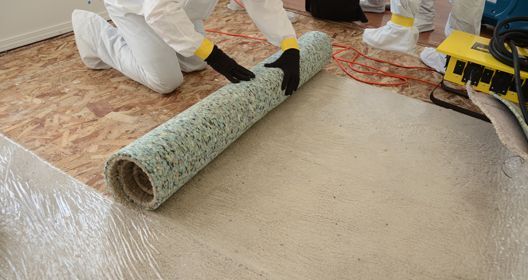 Carpet  Re-Install Expert
