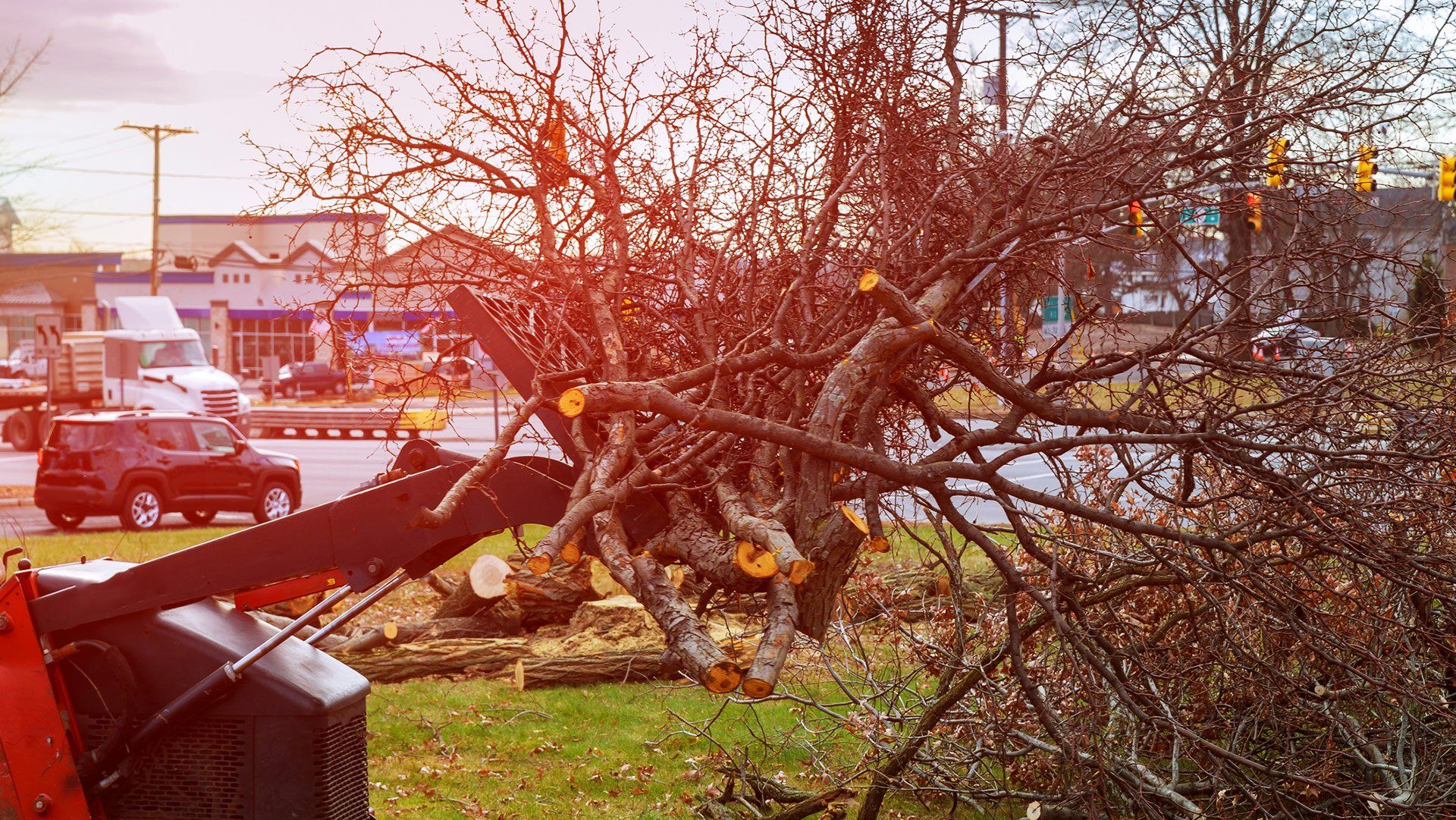 Storm Damage — Concord, NC — Hinson Tree Service