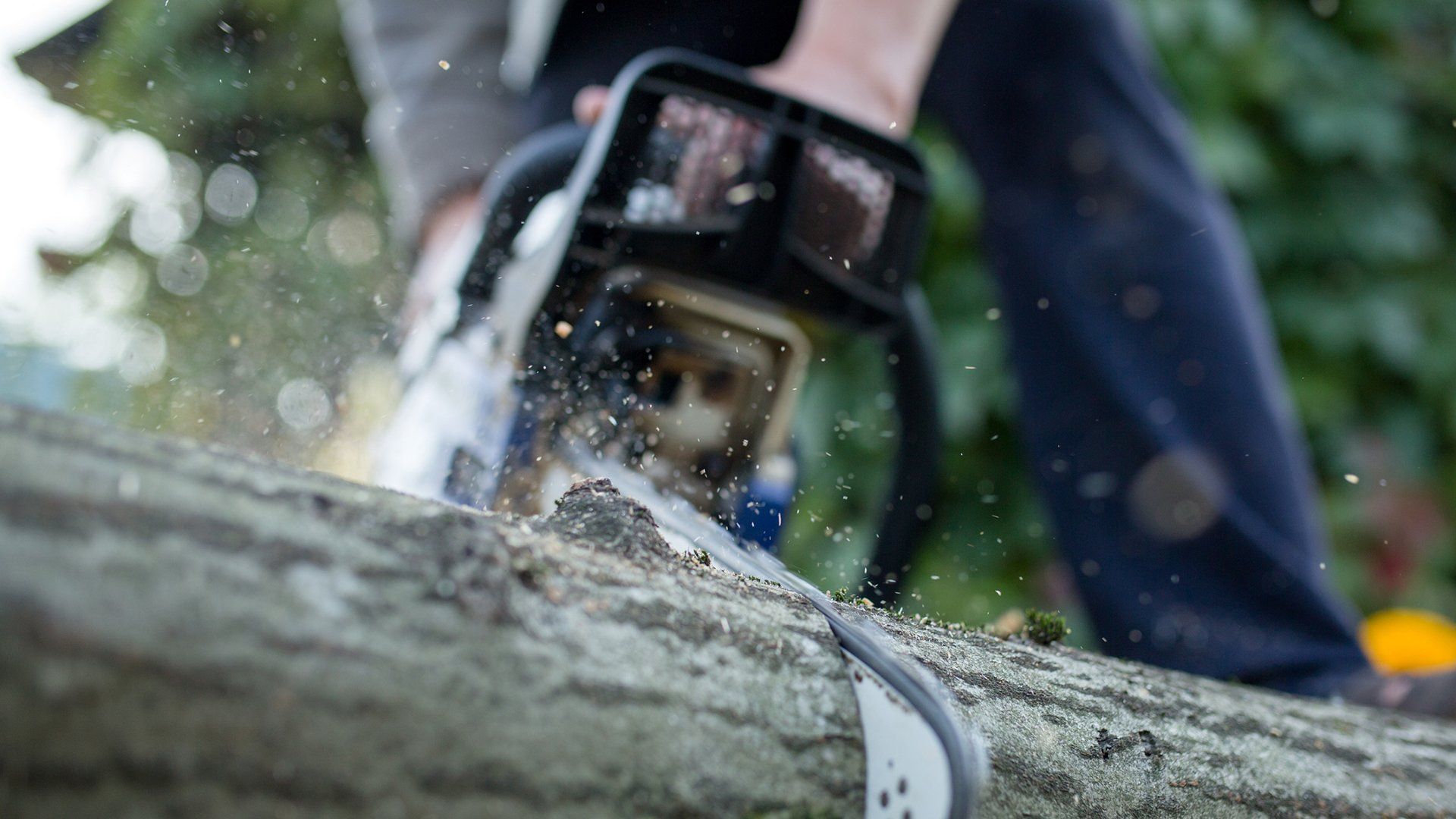 Cutting Up A Tree — Concord, NC — Hinson Tree Service Cutting Up A Tree — Concord, NC — Hinson Tree Service