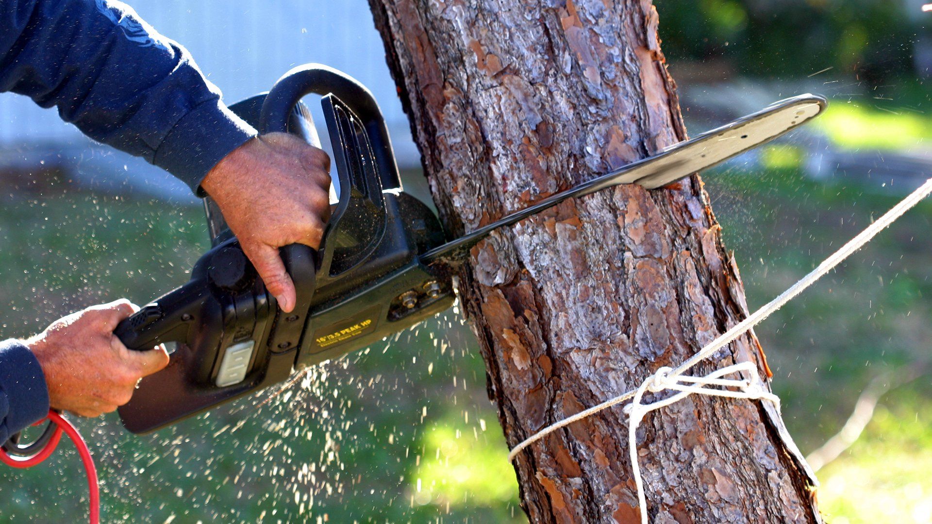 Tree Removal — Concord, NC — Hinson Tree Service
