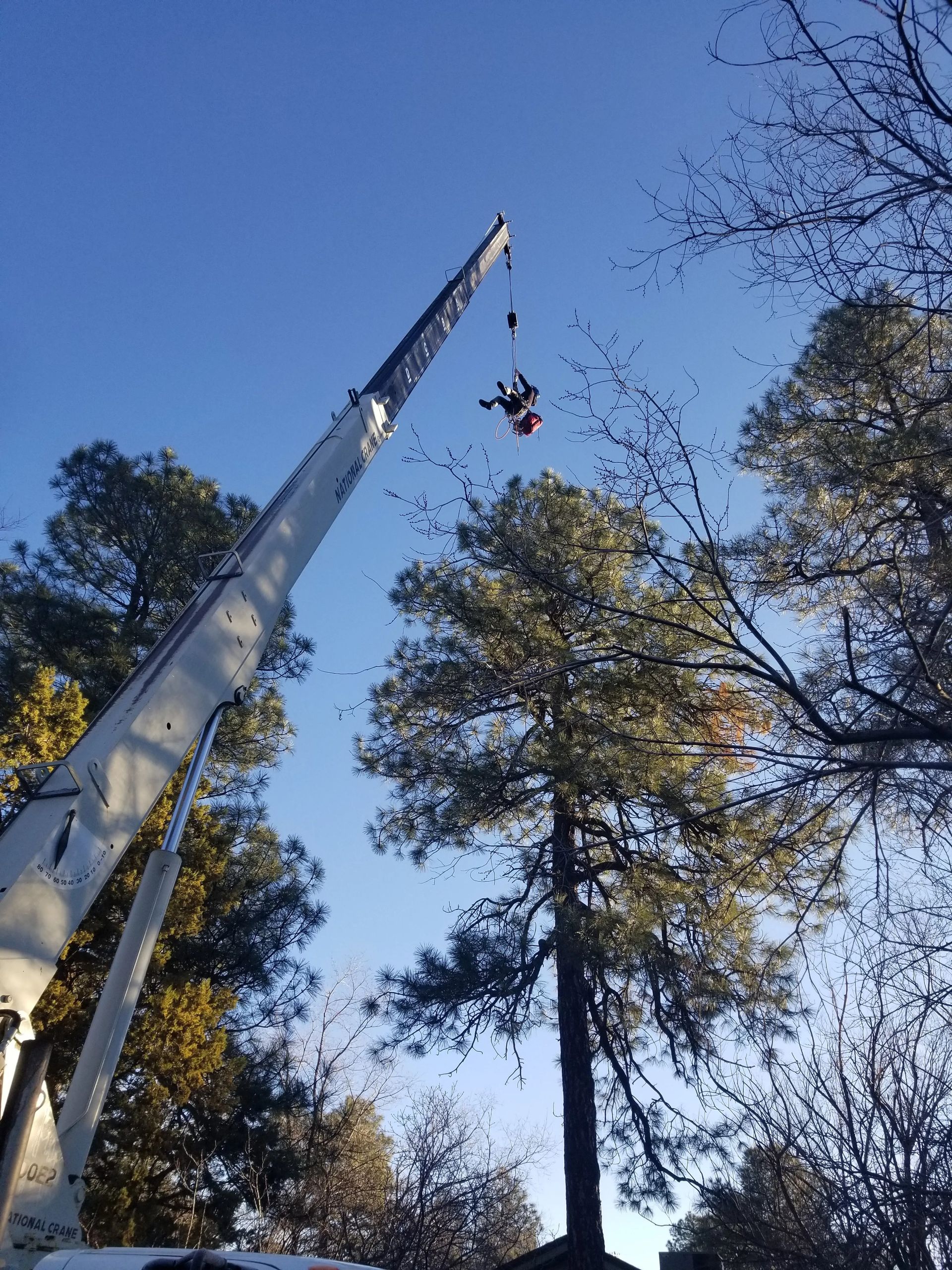 A crane is lifting a person up into the air