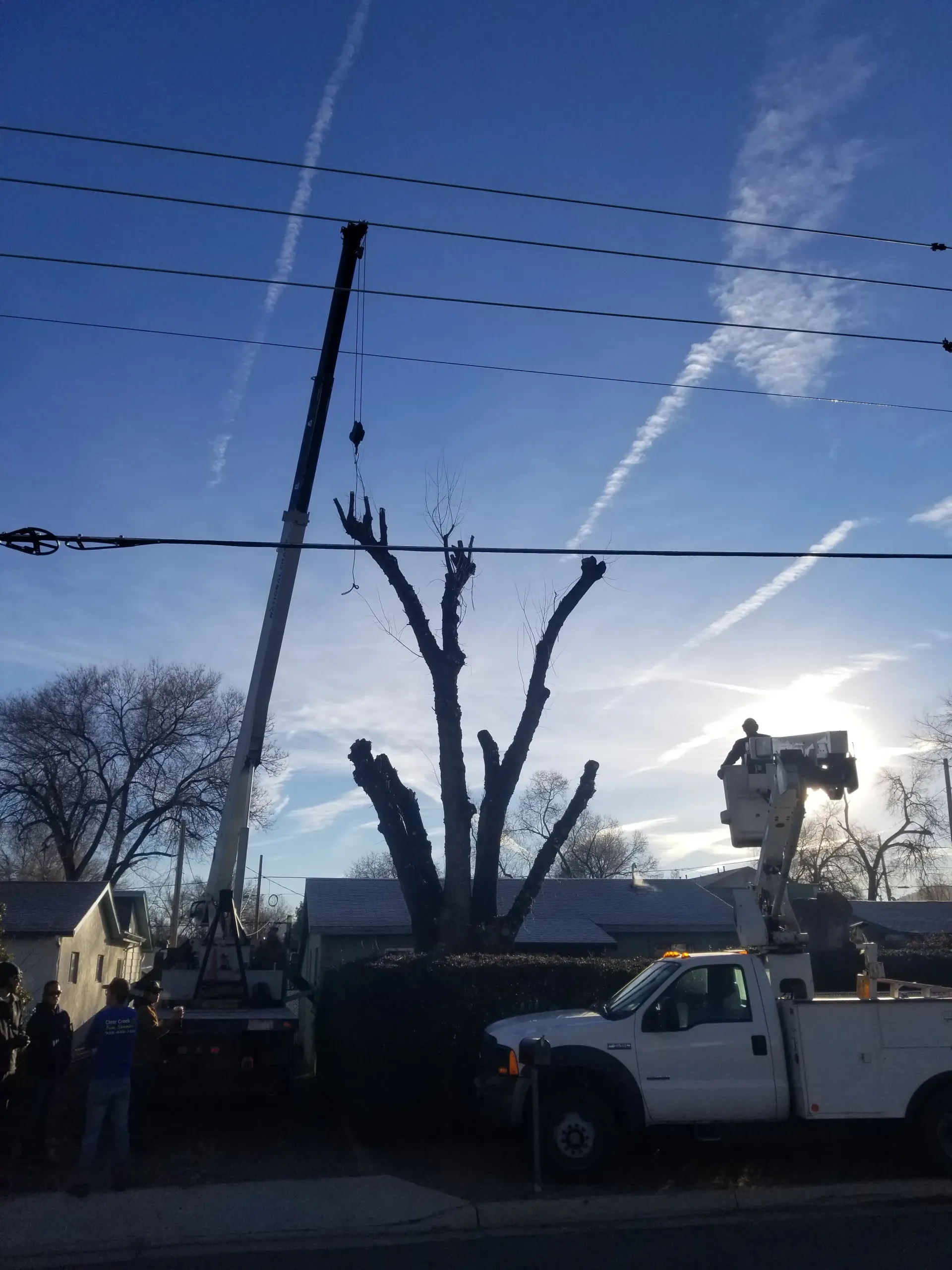 A white truck is parked in front of a tree being cut down