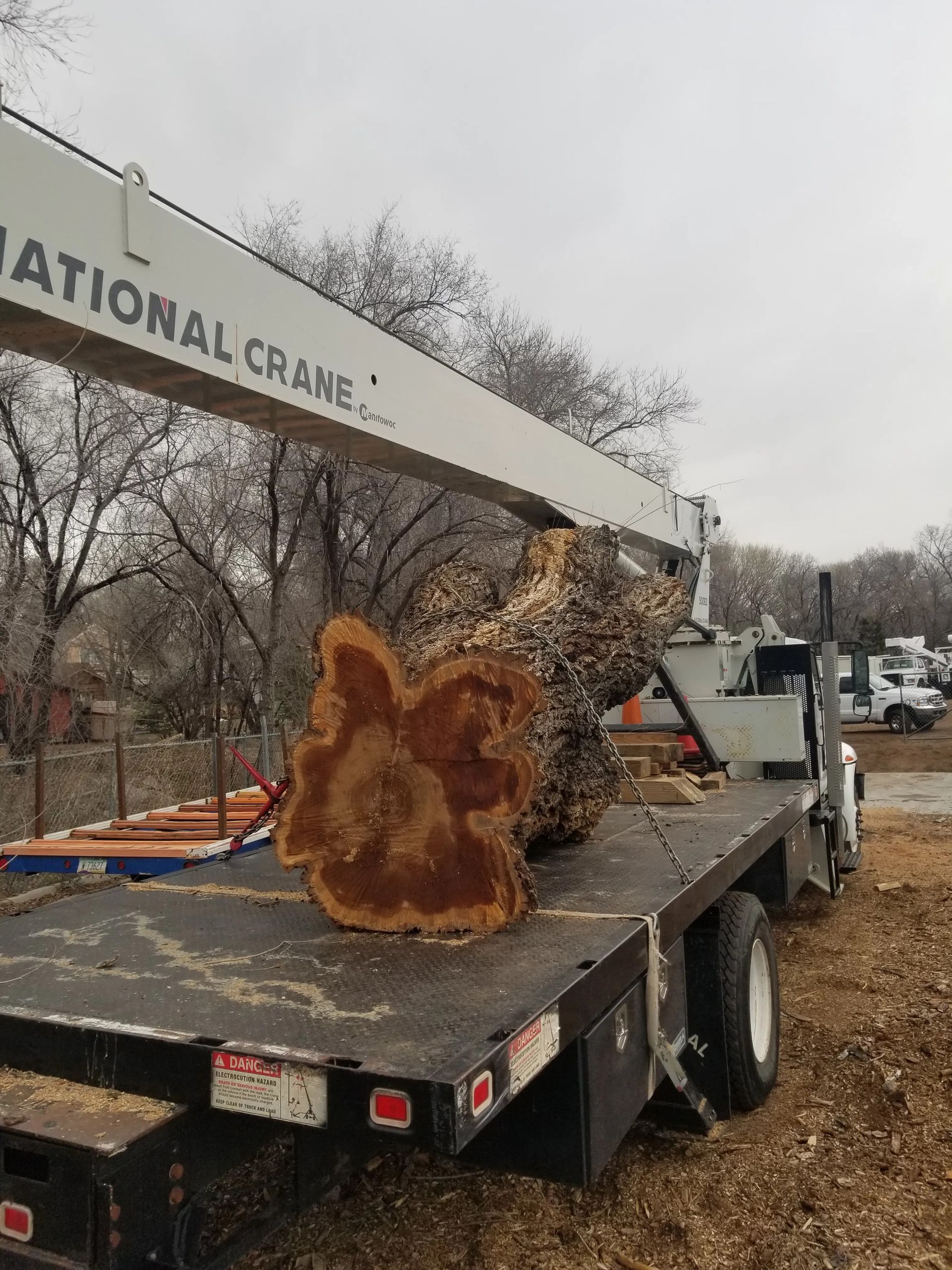 A large, round, cross-section of a tree trunk being lifted by a crane onto a flatbed truck outdoors.
