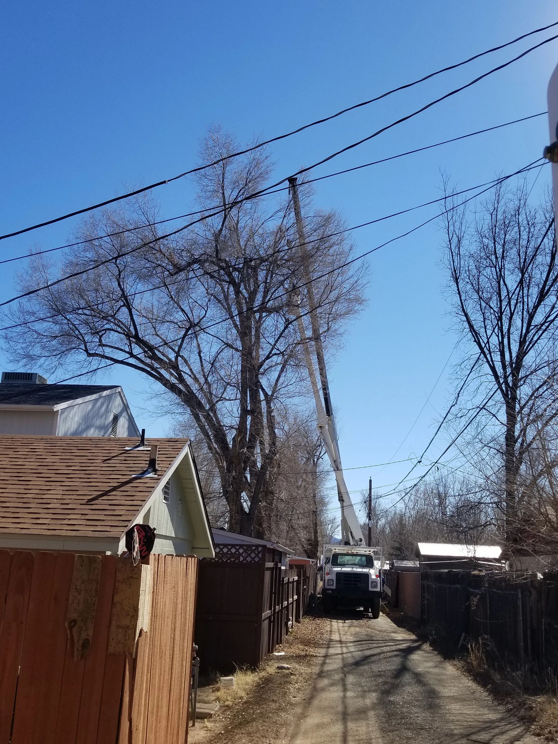 A crane is cutting a tree in a residential area.