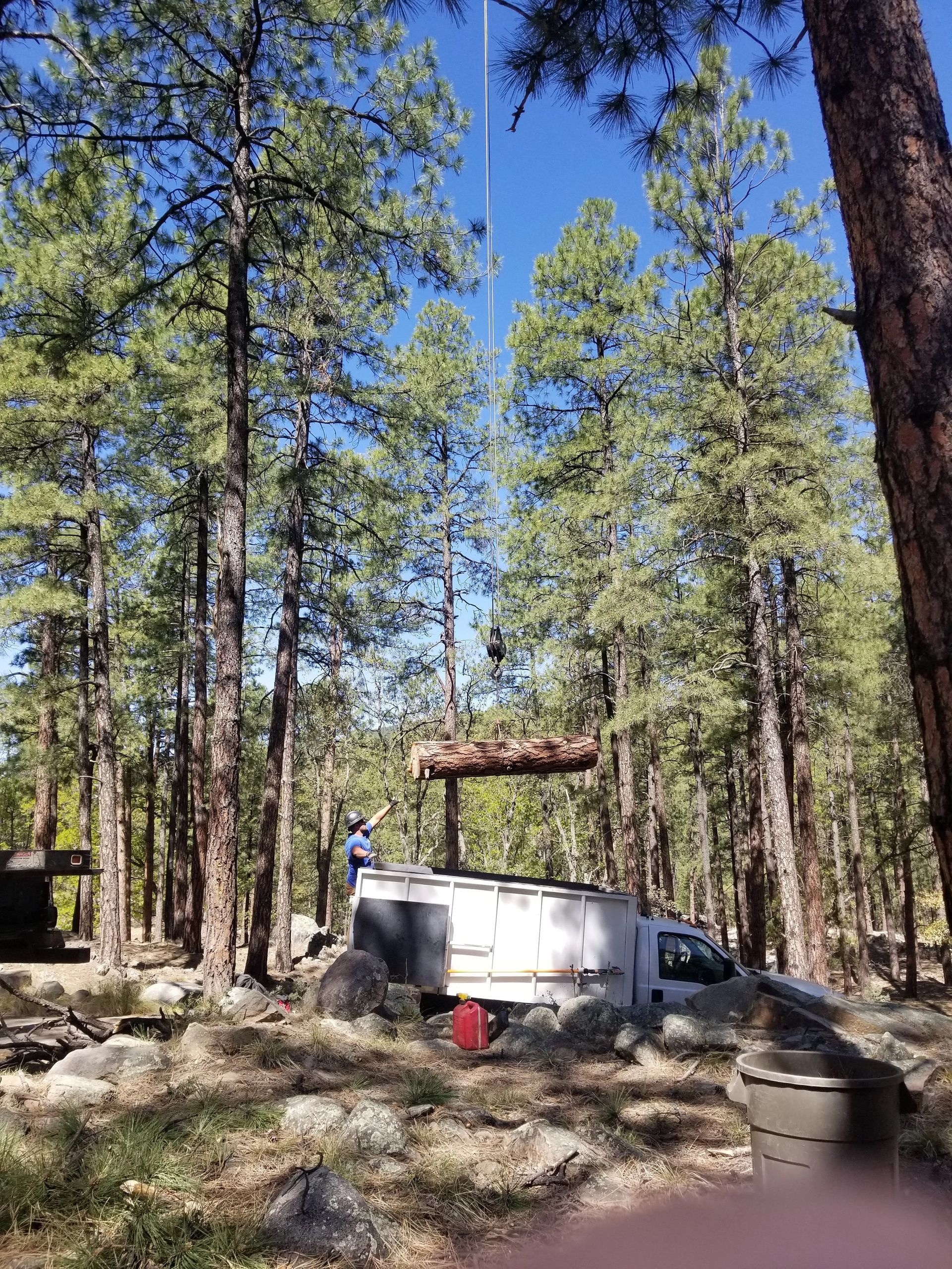 A white truck is parked in the middle of a forest.