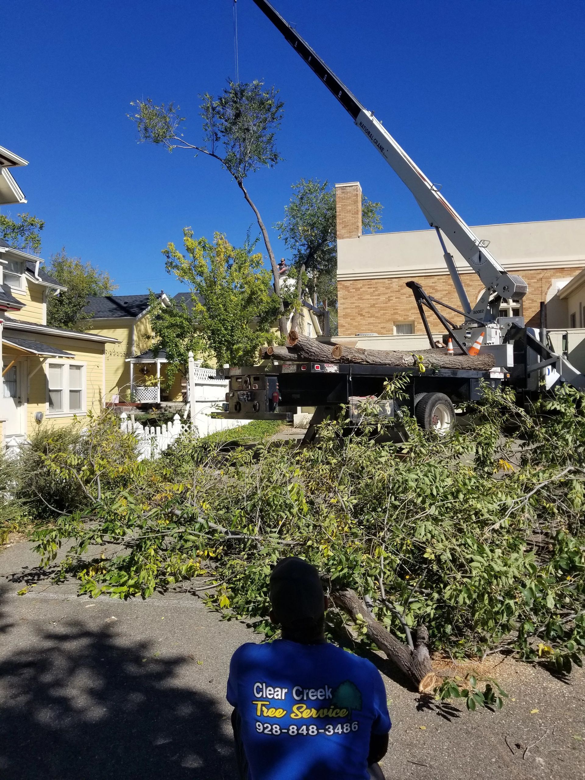 Tree removal: a truck with a crane removes branches from a tree next to a building. An observer is watching.