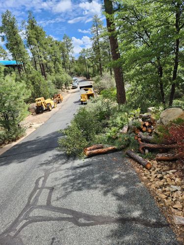 Road with construction equipment and freshly cut logs; trees line the sides.
