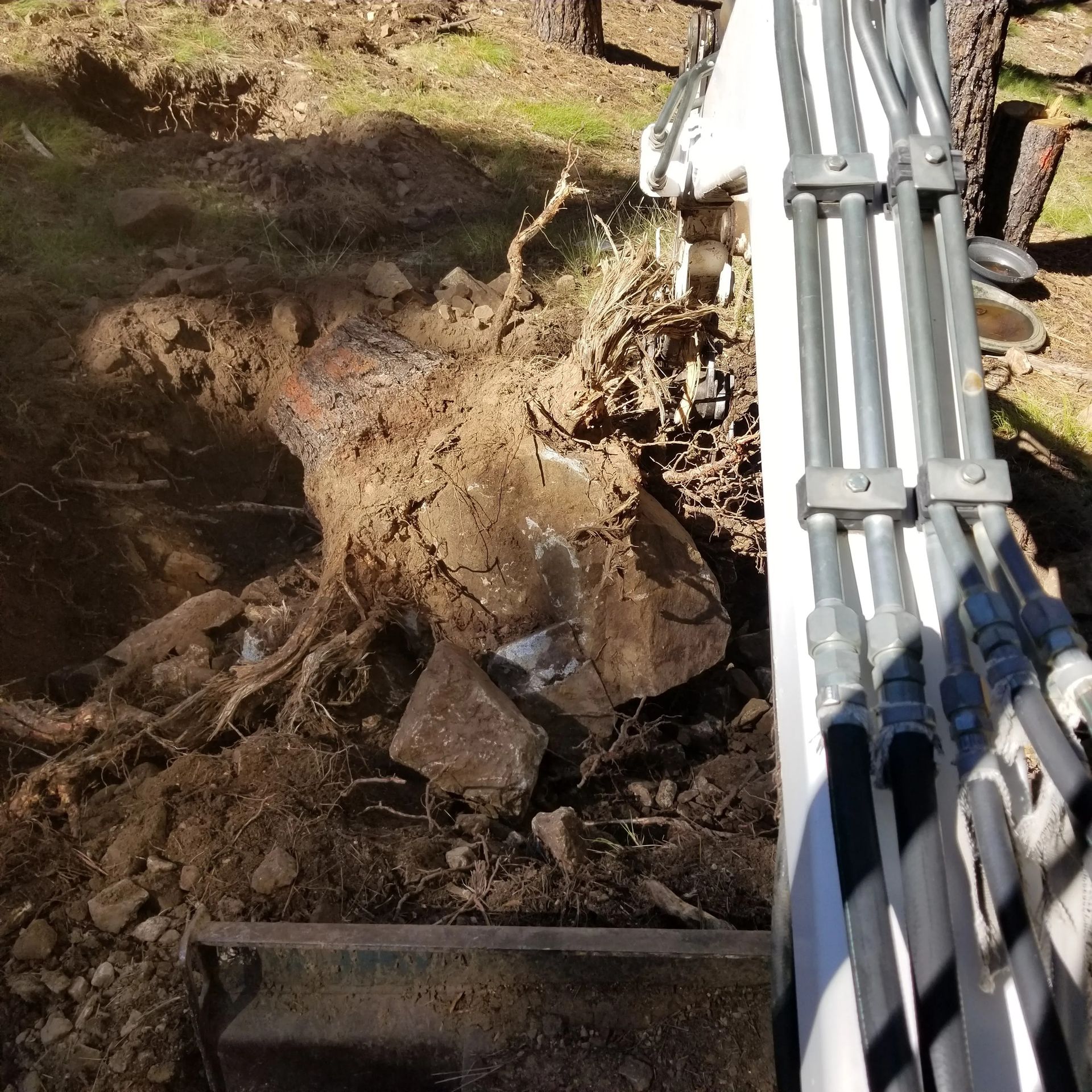 A large tree stump is being removed by an excavator