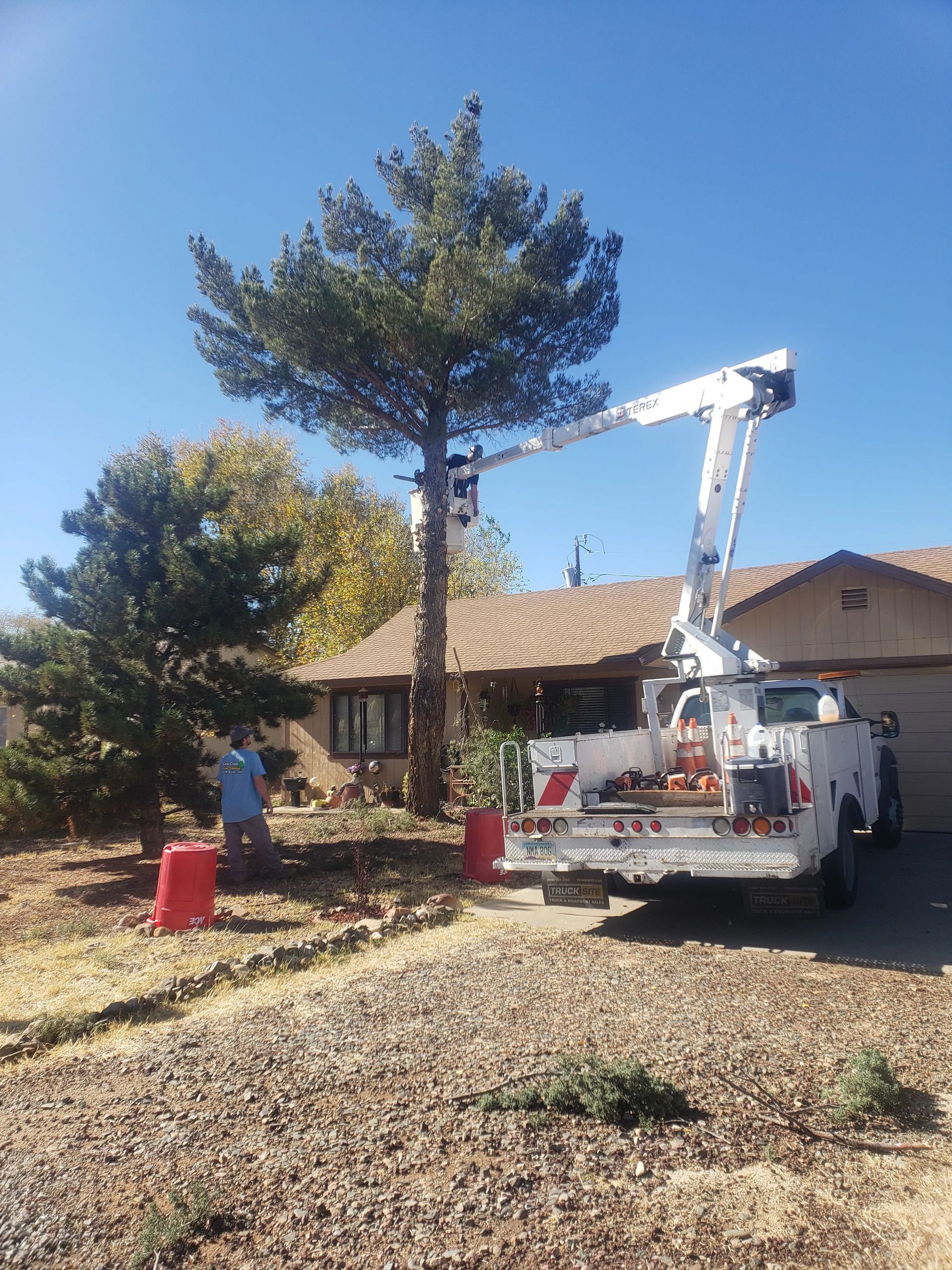 A man is cutting a tree with a crane in front of a house.