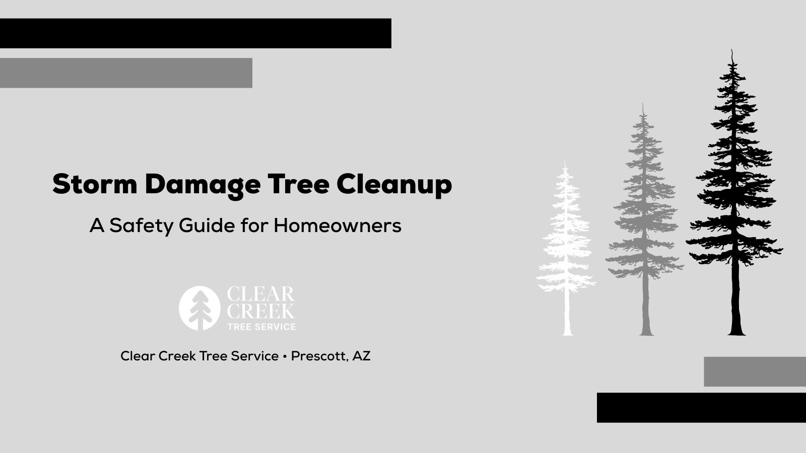 storm damage tree cleanup