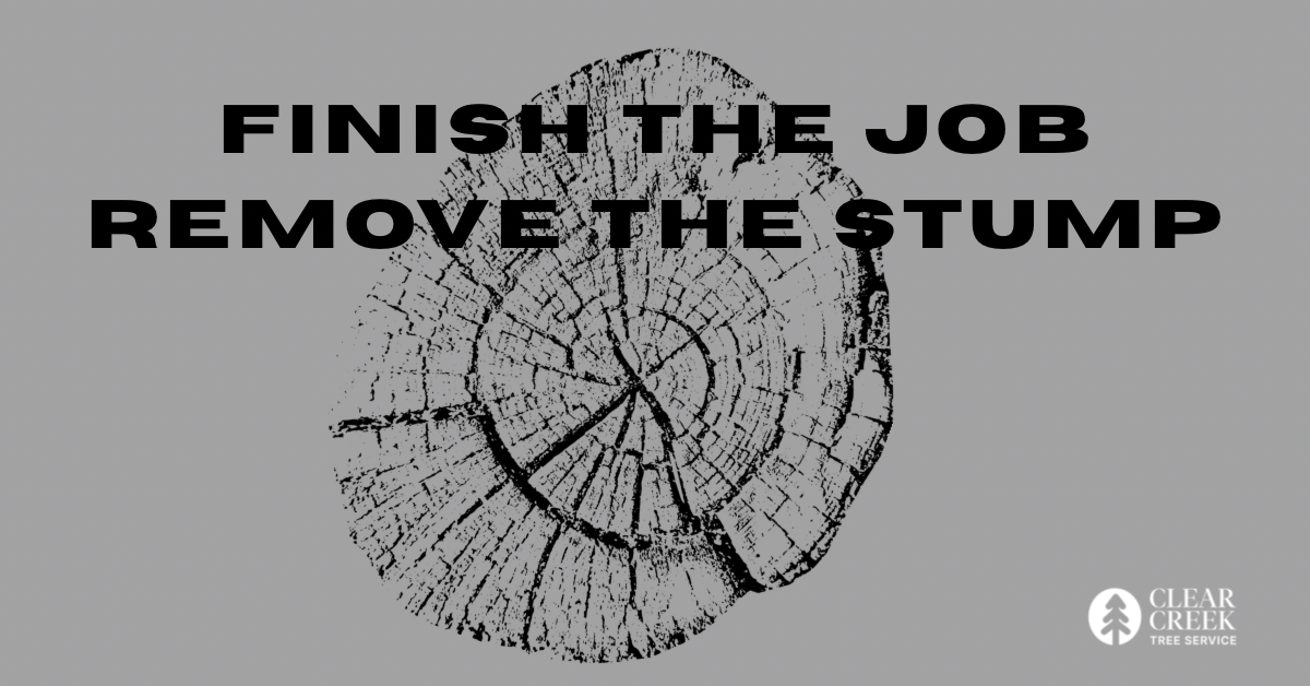 Finish the job remove the stump