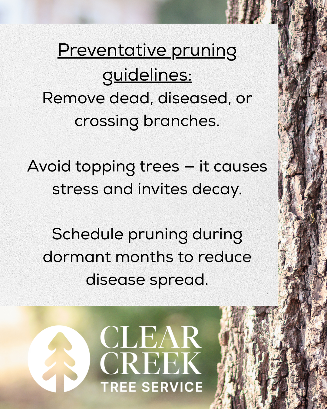 preventative pruning guidelines