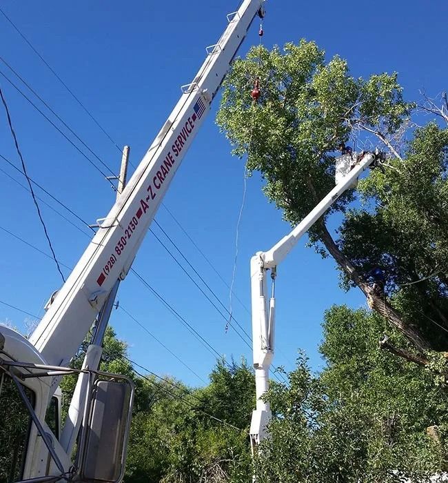 A crane with the word crane on it