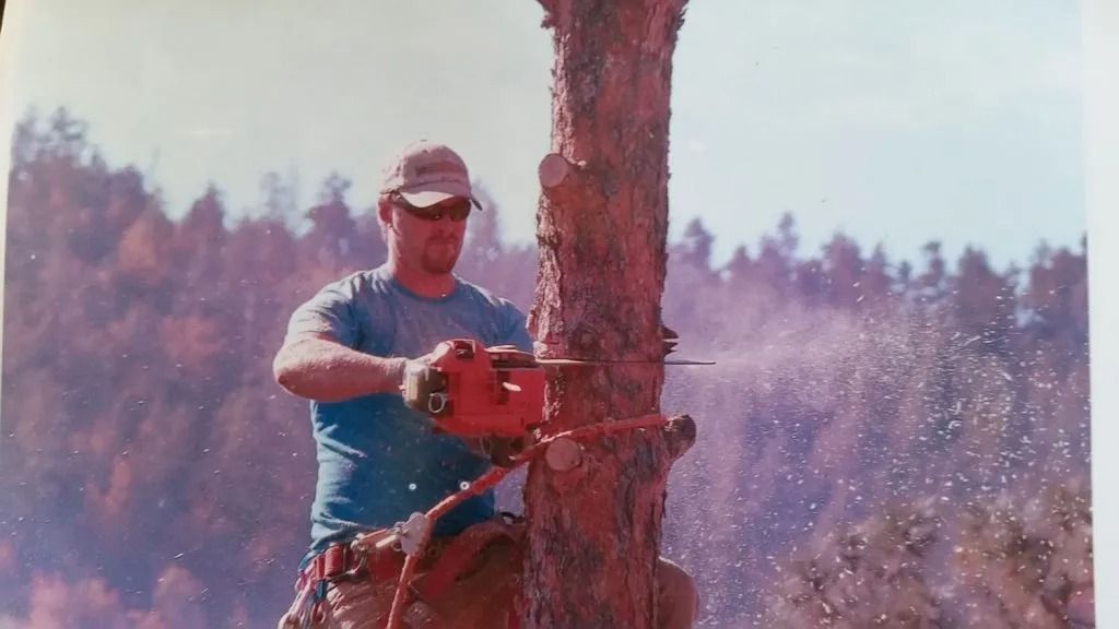 A man is cutting a tree with a chainsaw