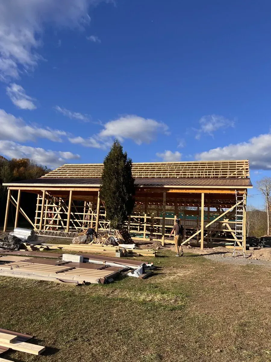 A wooden barn frame under construction on a sunny, grassy lot, with a tall evergreen tree standing in front.