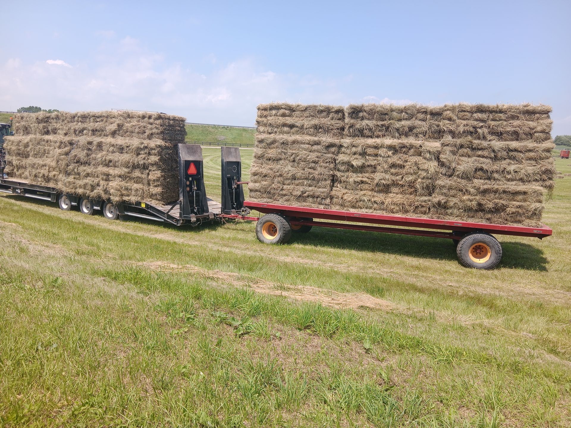 hay and straw for sale